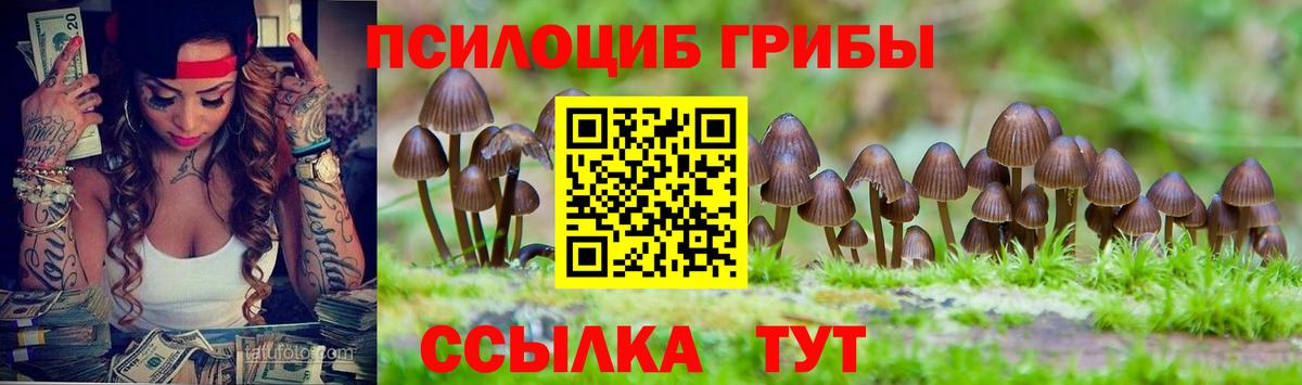 Псилоцибиновые грибы мицелий Долгопрудный